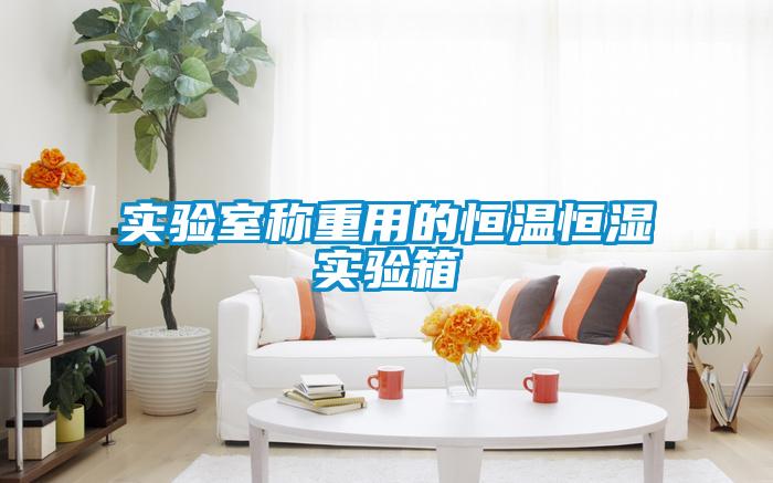 实验室称重用的恒温恒湿实验箱