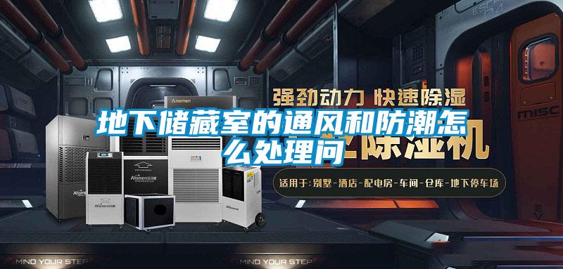 地下储藏室的通风和防潮怎么处理问