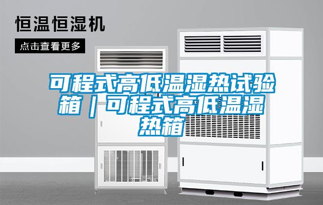 可程式高低温湿热试验箱|可程式高低温湿热箱