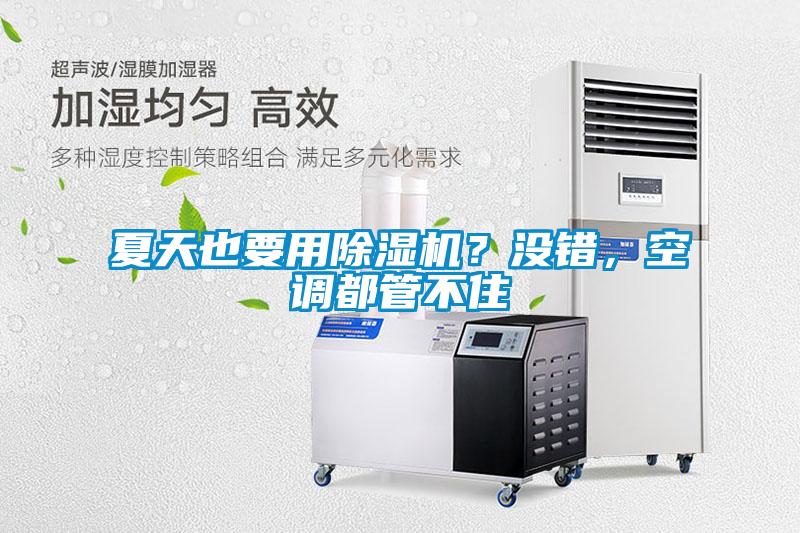 夏天也要用除湿机?没错,空调都管不住