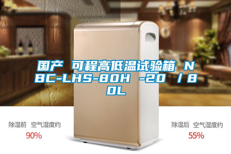 国产 可程高低温试验箱 NBC-LHS-80H -20℃/80L