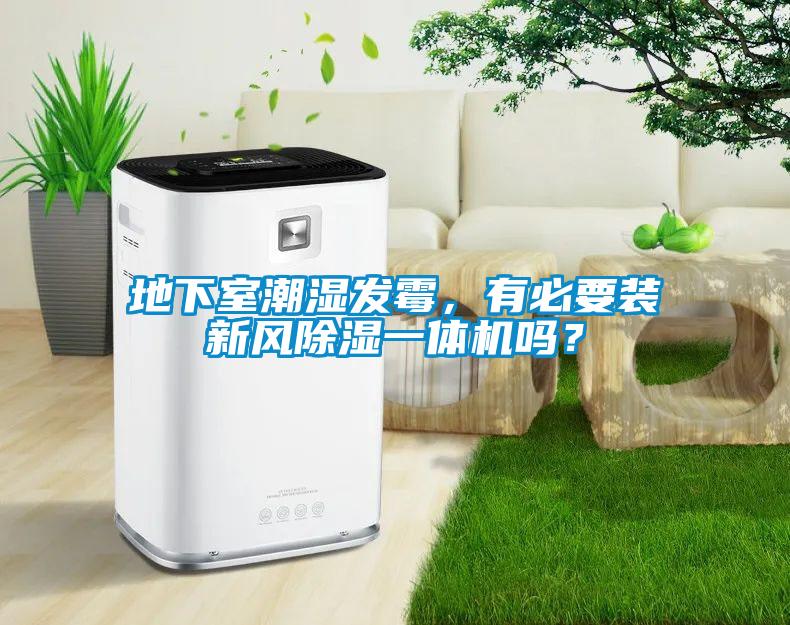 地下室潮湿发霉,有必要装新风除湿一体机吗?