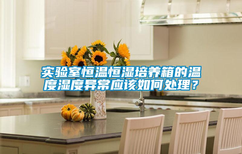 实验室恒温恒湿培养箱的温度湿度异常应该如何处理?