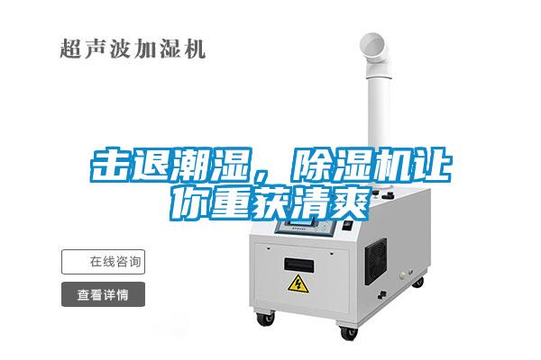 击退潮湿,除湿机让你重获清爽