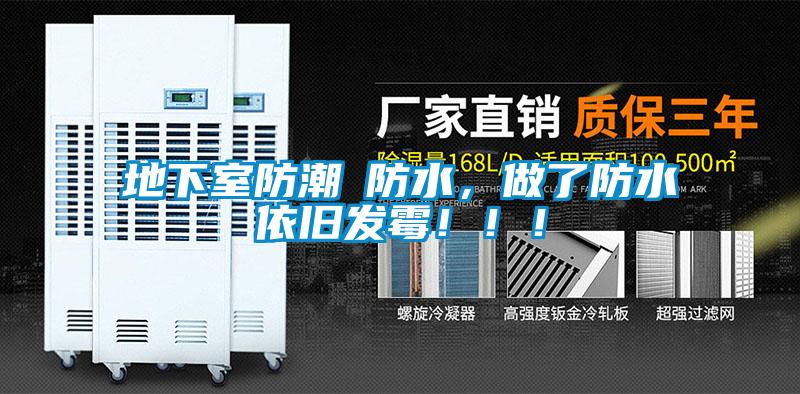 地下室防潮≠防水,做了防水依旧发霉!!!