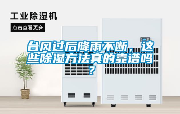 台风过后降雨不断,这些除湿方法真的靠谱吗?