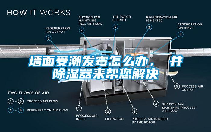 墙面受潮发霉怎么办,東井除湿器来帮您解决