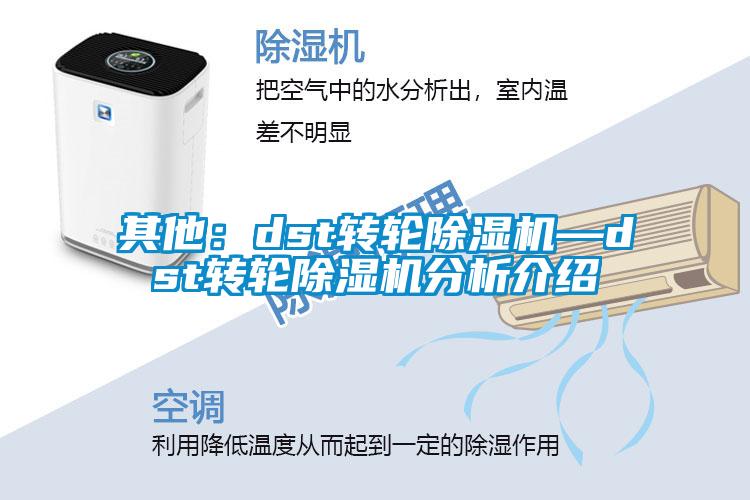 其他:dst转轮除湿机—dst转轮除湿机分析介绍
