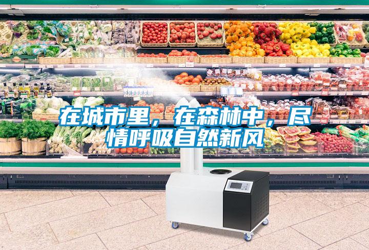 在城市里,在森林中,尽情呼吸自然新风