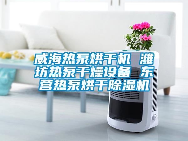 威海热泵烘干机 潍坊热泵干燥设备 东营热泵烘干除湿机