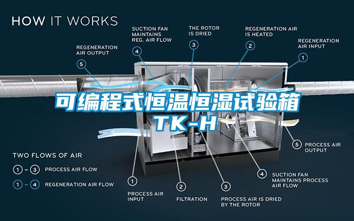 可编程式恒温恒湿试验箱 TK-H