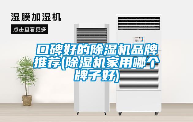 口碑好的除湿机品牌推荐(除湿机家用哪个牌子好)