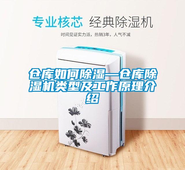 仓库如何除湿—仓库除湿机类型及工作原理介绍