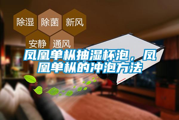 凤凰单枞抽湿杯泡,凤凰单枞的冲泡方法