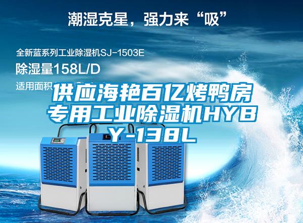 供应海艳百亿烤鸭房专用工业除湿机HYBY-138L