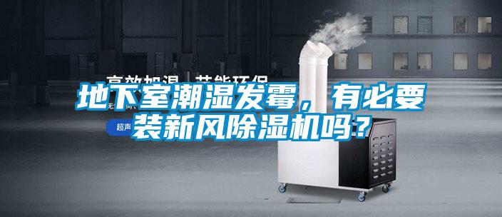 地下室潮湿发霉,有必要装新风除湿机吗?