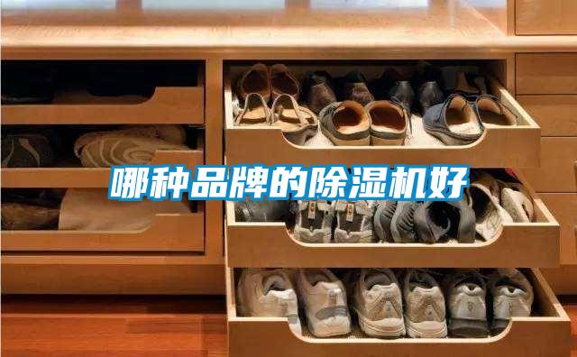 哪种品牌的除湿机好