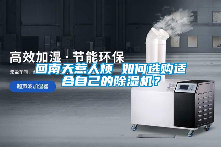 回南天惹人烦 如何选购适合自己的除湿机?