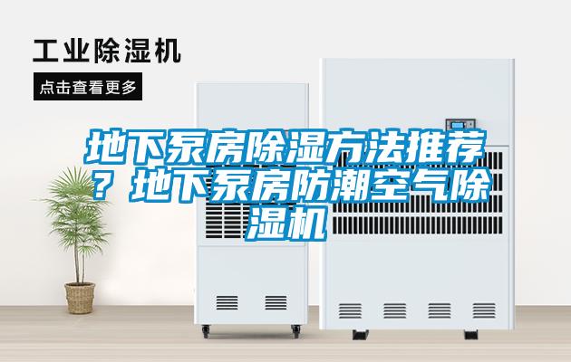 地下泵房除湿方法推荐?地下泵房防潮空气除湿机