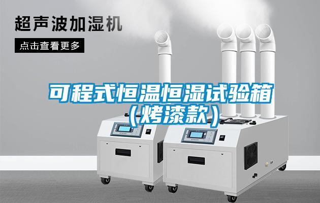 可程式恒温恒湿试验箱(烤漆款)