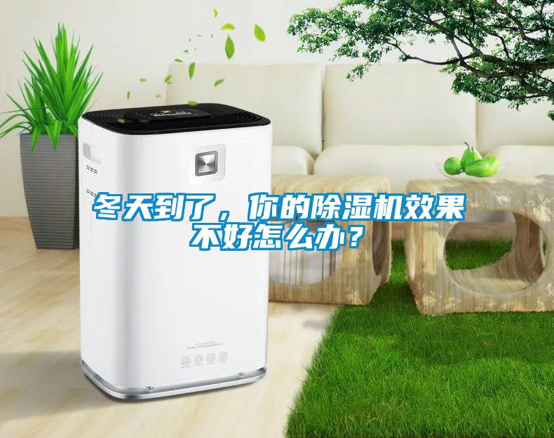冬天到了,你的除湿机效果不好怎么办?