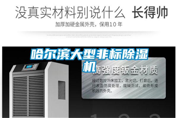 哈尔滨大型非标除湿机