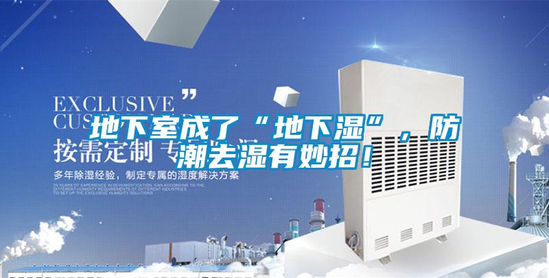 地下室成了“地下湿”，防潮去湿有妙招！