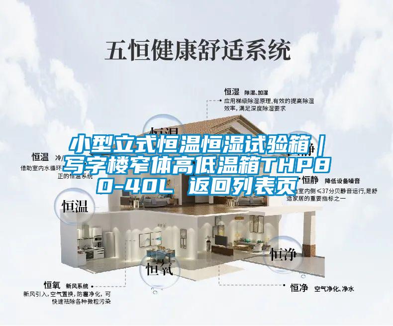 小型立式恒温恒湿试验箱|写字楼窄体高低温箱THP80-40L 返回列表页