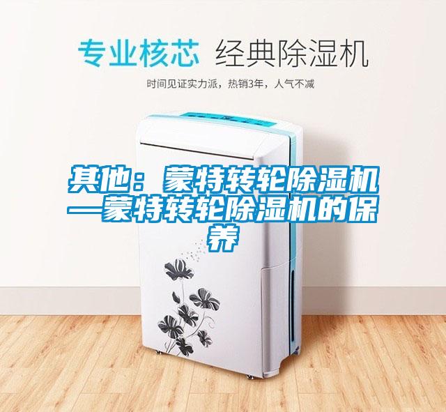 其他:蒙特转轮除湿机—蒙特转轮除湿机的保养
