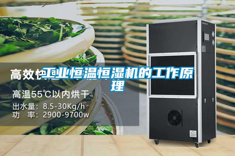 工业恒温恒湿机的工作原理