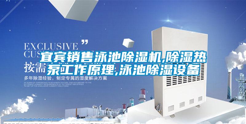 宜宾销售泳池除湿机,除湿热泵工作原理,泳池除湿设备
