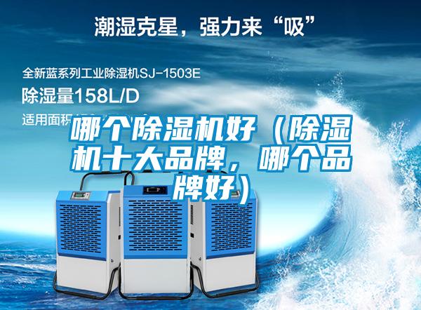 哪个除湿机好(除湿机十大品牌,哪个品牌好)