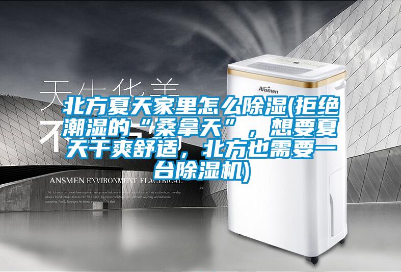 北方夏天家里怎么除湿(拒绝潮湿的“桑拿天”,想要夏天干爽舒适,北方也需要一台除湿机)