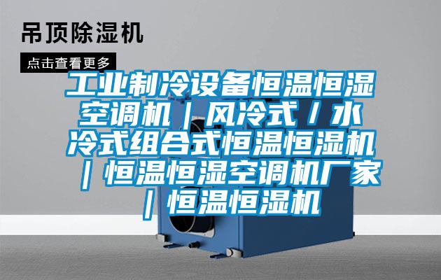 工业制冷设备恒温恒湿空调机|风冷式/水冷式组合式恒温恒湿机|恒温恒湿空调机厂家|恒温恒湿机