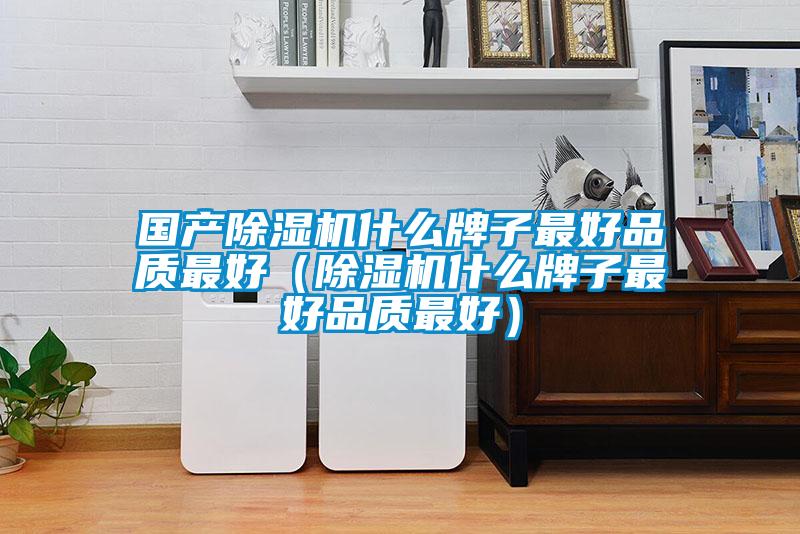 国产除湿机什么牌子最好品质最好(除湿机什么牌子最好品质最好)