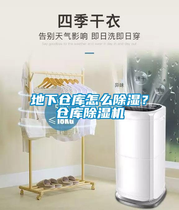 地下仓库怎么除湿?仓库除湿机