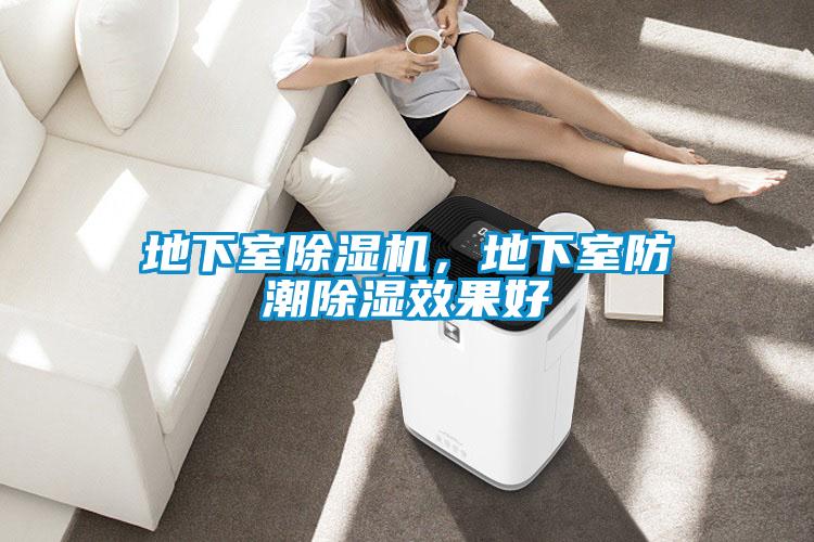 地下室除湿机,地下室防潮除湿效果好