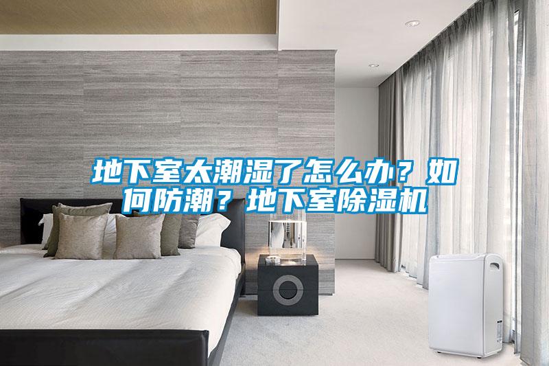 地下室太潮湿了怎么办?如何防潮?地下室除湿机