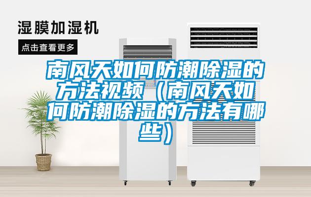 南风天如何防潮除湿的方法视频(南风天如何防潮除湿的方法有哪些)