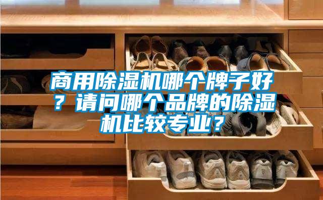 商用除湿机哪个牌子好?请问哪个品牌的除湿机比较专业?