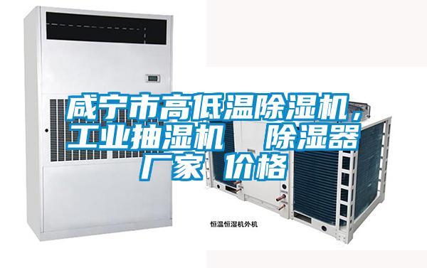 咸宁市高低温除湿机,工业抽湿机  除湿器厂家 价格
