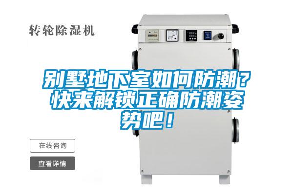 别墅地下室如何防潮?快来解锁正确防潮姿势吧!