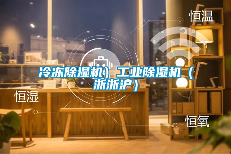 冷冻除湿机)工业除湿机(浙浙沪)