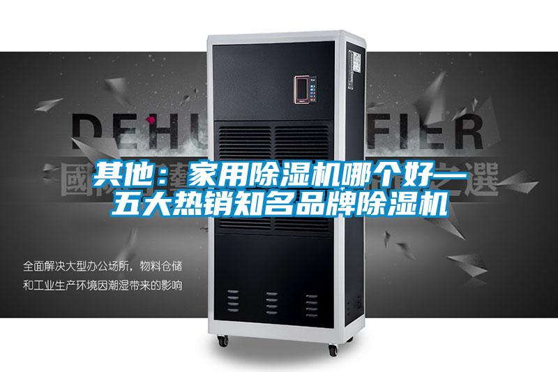 其他:家用除湿机哪个好—五大热销知名品牌除湿机