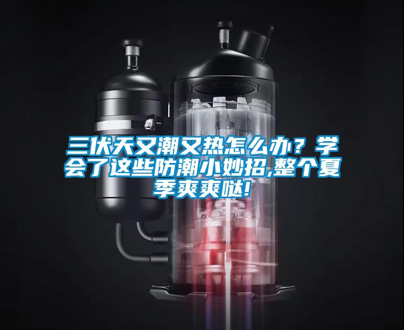 三伏天又潮又热怎么办?学会了这些防潮小妙招,整个夏季爽爽哒!