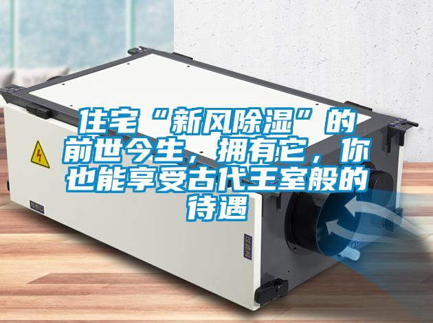 住宅“新风除湿”的前世今生,拥有它,你也能享受古代王室般的待遇