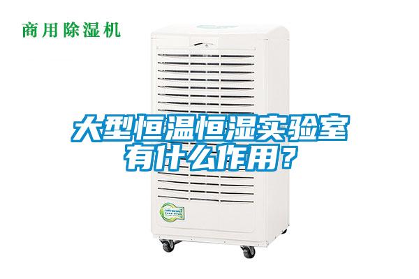 大型恒温恒湿实验室有什么作用?