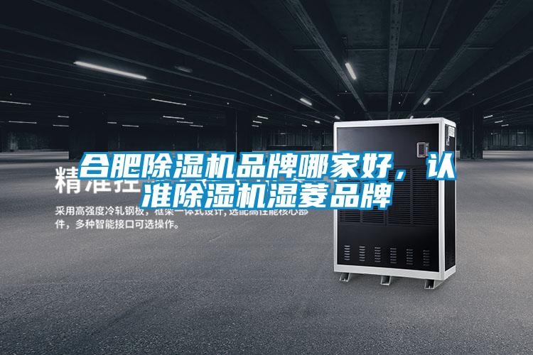 合肥除湿机品牌哪家好,认准除湿机湿菱品牌