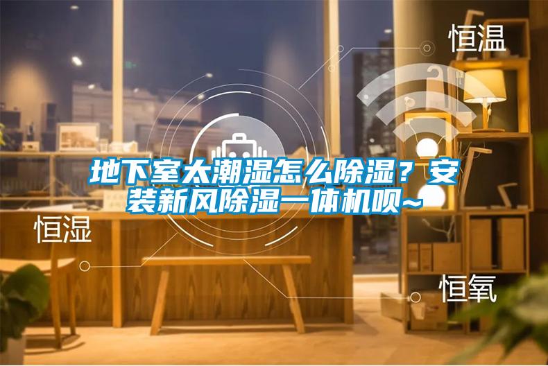 地下室太潮湿怎么除湿?安装新风除湿一体机呗~