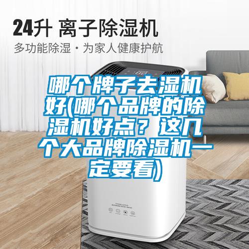 哪个牌子去湿机好(哪个品牌的除湿机好点?这几个大品牌除湿机一定要看)